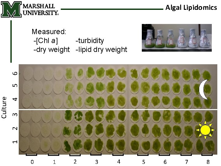 Algal Lipidomics 4 5 6 7 [ [ 3 [ [ [ 2 [