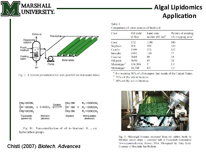 Algal Lipidomics Application Chisti (2007) Biotech. Advances 