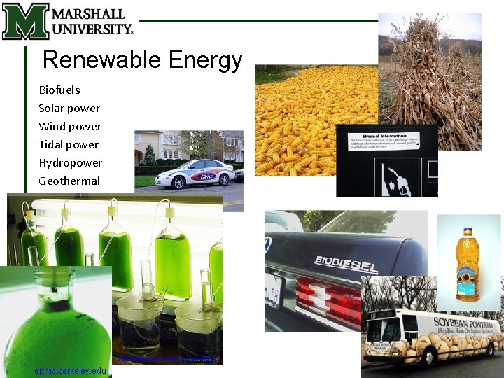 Renewable Energy Biofuels Solar power Wind power Tidal power Hydropower Geothermal futurefarmers. com/survey/algae epmb.