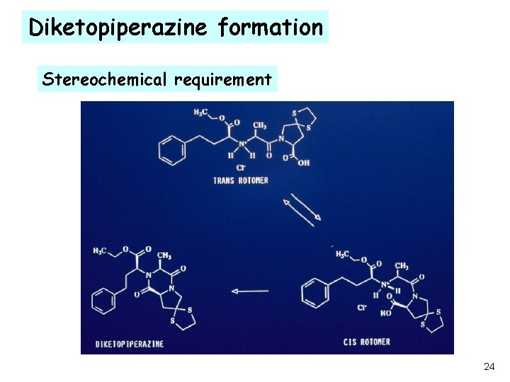 Diketopiperazine formation Stereochemical requirement 24 