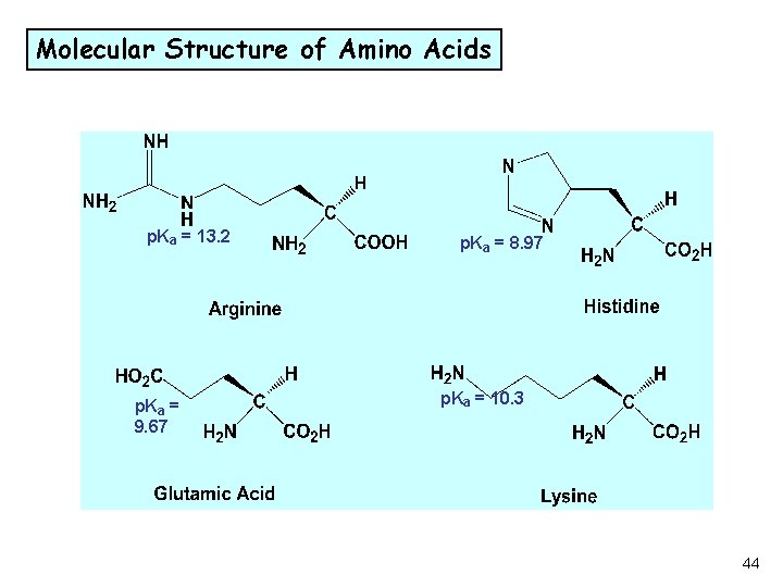Molecular Structure of Amino Acids p. Ka = 13. 2 p. Ka = 9.