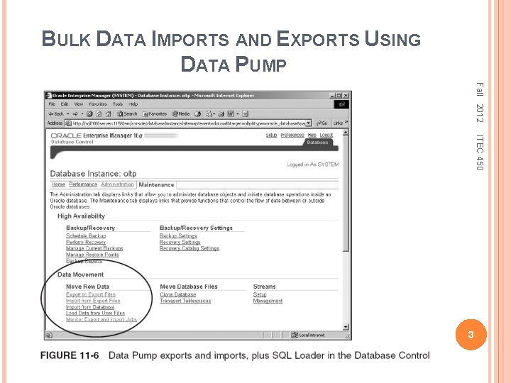 BULK DATA IMPORTS AND EXPORTS USING DATA PUMP Fall 2012 ITEC 450 3 