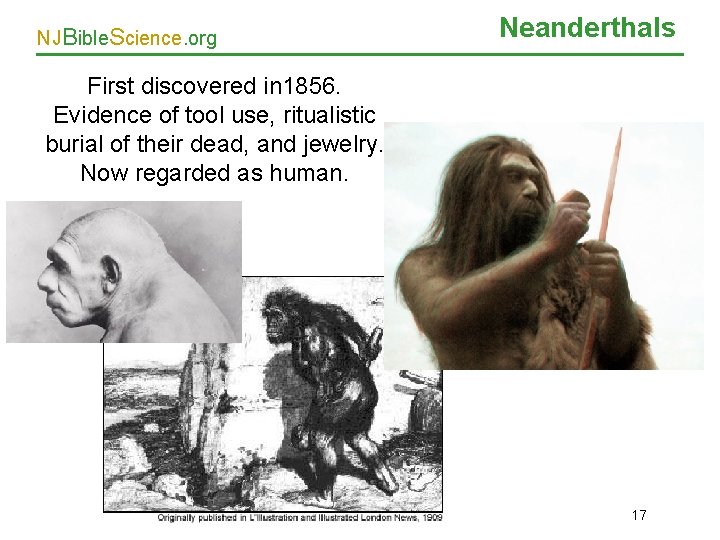 NJBible. Science. org Neanderthals First discovered in 1856. Evidence of tool use, ritualistic burial