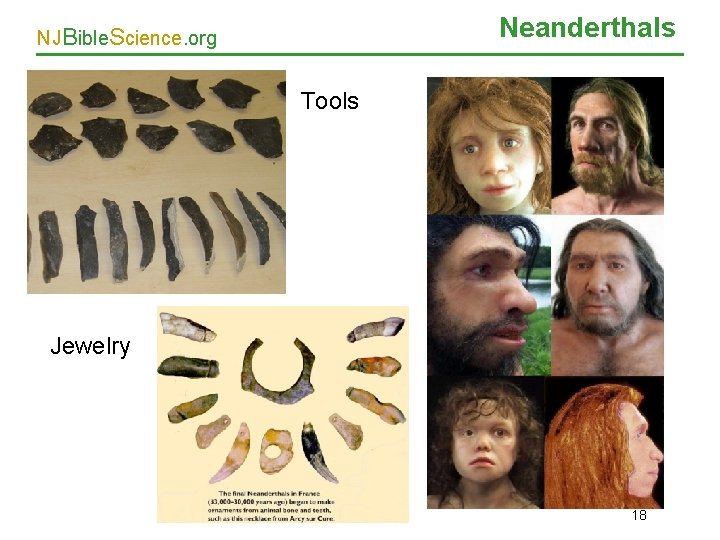 Neanderthals NJBible. Science. org Tools Jewelry 18 