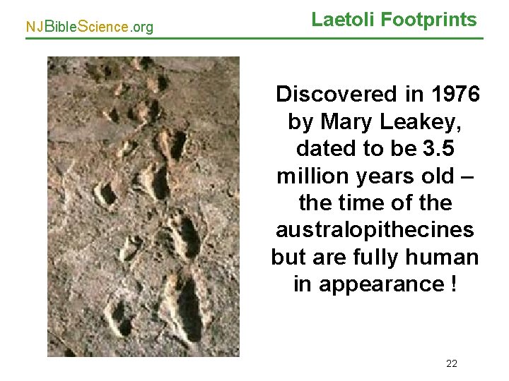 NJBible. Science. org Laetoli Footprints Discovered in 1976 by Mary Leakey, dated to be