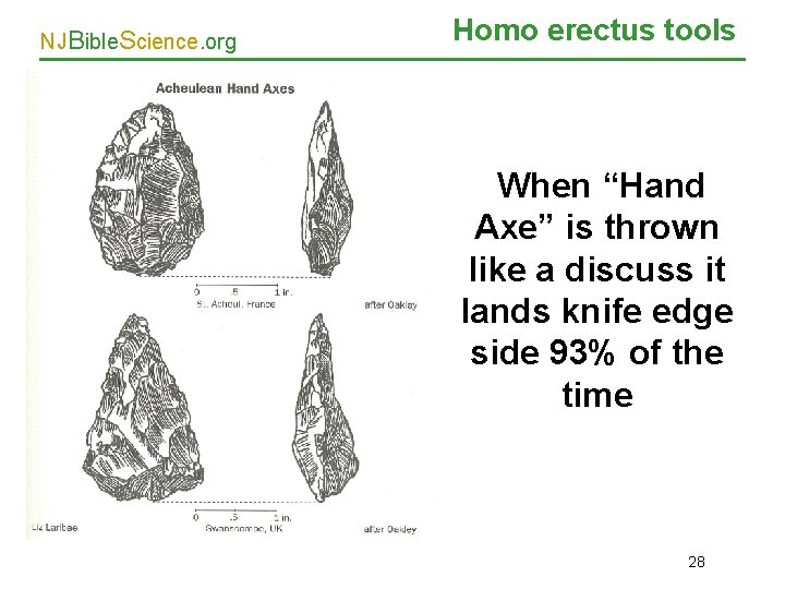 NJBible. Science. org Homo erectus tools When “Hand Axe” is thrown like a discuss