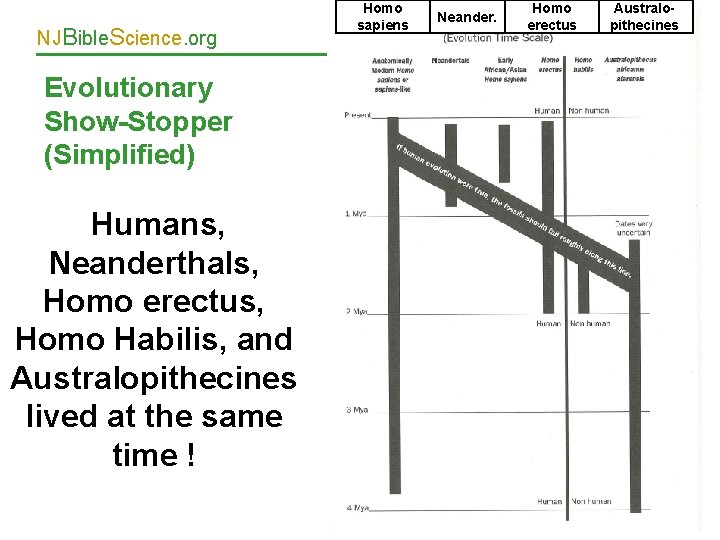 NJBible. Science. org Homo sapiens Neander. Homo erectus Australopithecines Evolutionary Show-Stopper (Simplified) Humans, Neanderthals,