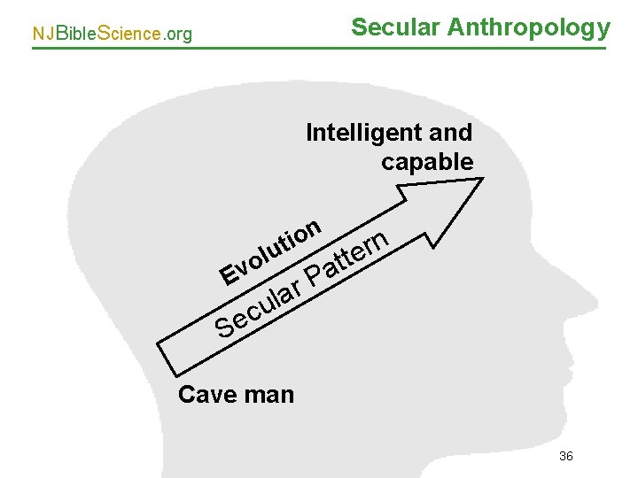 Secular Anthropology NJBible. Science. org Intelligent and capable n o i ut l o