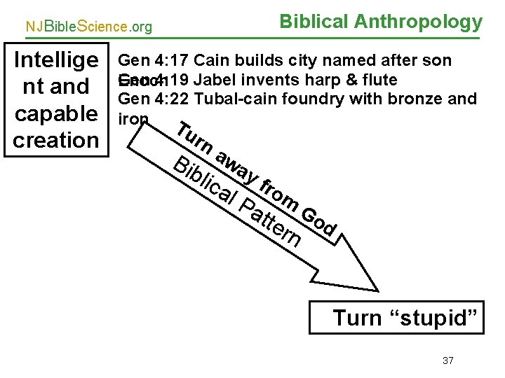 Biblical Anthropology NJBible. Science. org Intellige nt and capable creation Gen 4: 17 Cain