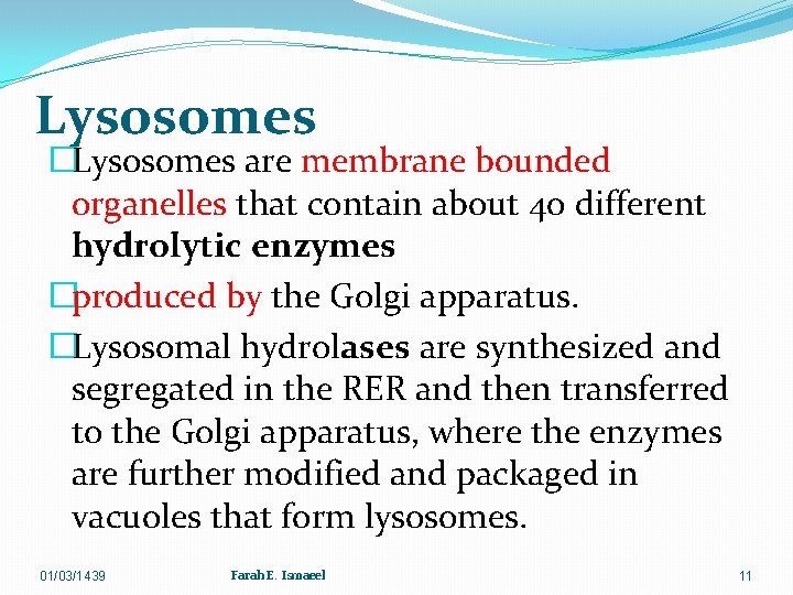 Lysosomes �Lysosomes are membrane bounded organelles that contain about 40 different hydrolytic enzymes �produced