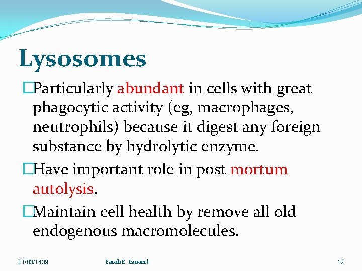 Lysosomes �Particularly abundant in cells with great phagocytic activity (eg, macrophages, neutrophils) because it