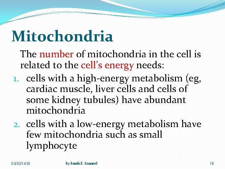 Mitochondria The number of mitochondria in the cell is related to the cell’s energy