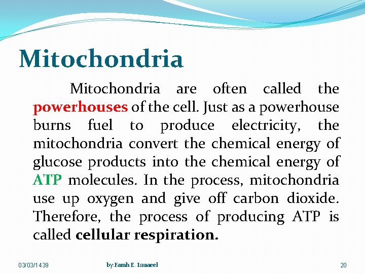 Mitochondria are often called the powerhouses of the cell. Just as a powerhouse burns