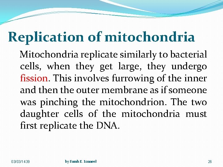 Replication of mitochondria Mitochondria replicate similarly to bacterial cells, when they get large, they