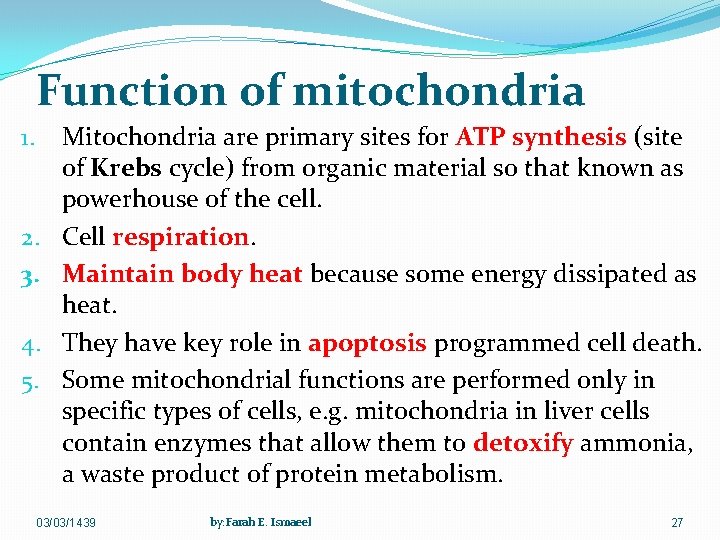 Function of mitochondria 1. 2. 3. 4. 5. Mitochondria are primary sites for ATP