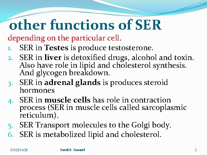 other functions of SER depending on the particular cell. 1. SER in Testes is