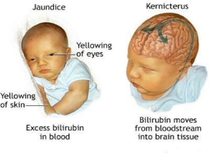 01/03/1439 Farah E. Ismaeel 7 