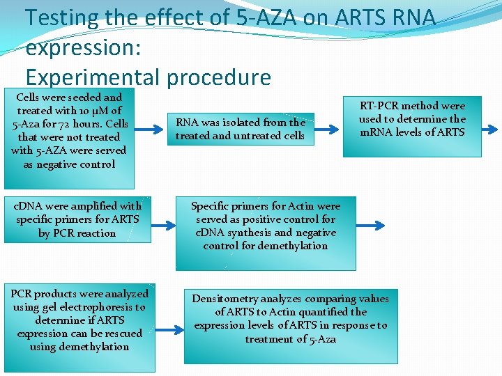 Testing the effect of 5 -AZA on ARTS RNA expression: Experimental procedure Cells were