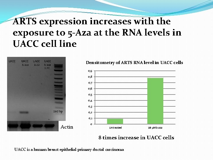 ARTS expression increases with the exposure to 5 -Aza at the RNA levels in