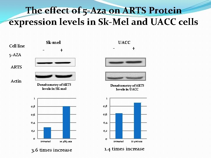 The effect of 5 -Aza on ARTS Protein expression levels in Sk-Mel and UACC