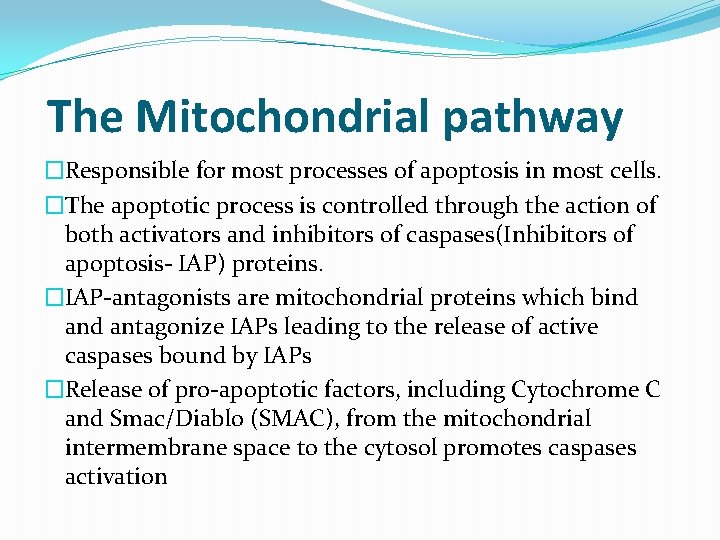 The Mitochondrial pathway �Responsible for most processes of apoptosis in most cells. �The apoptotic