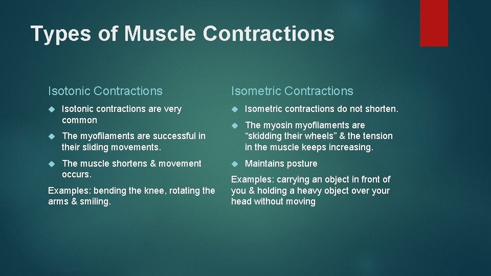 Types of Muscle Contractions Isotonic Contractions Isotonic contractions are very common The myofilaments are