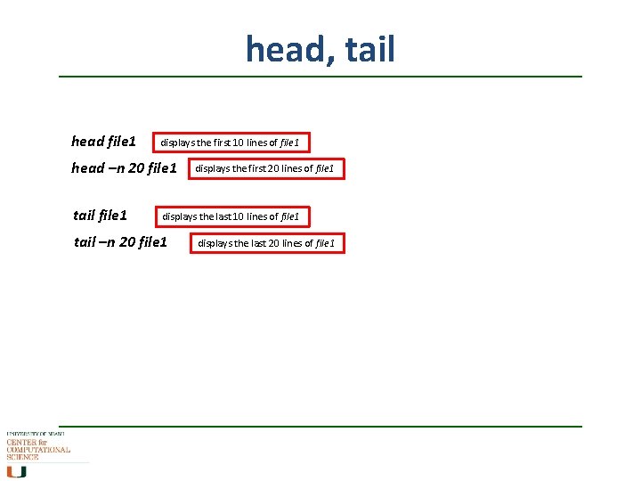 head, tail head file 1 displays the first 10 lines of file 1 head