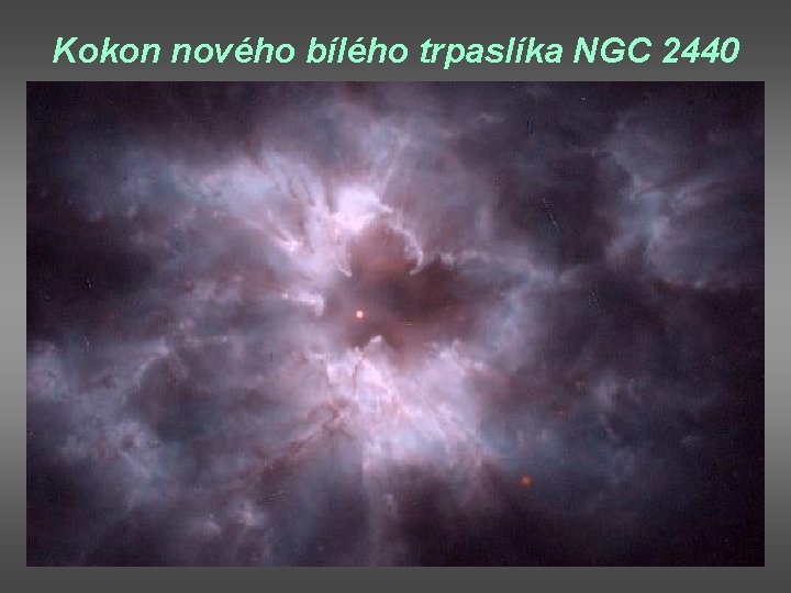 Kokon nového bílého trpaslíka NGC 2440 