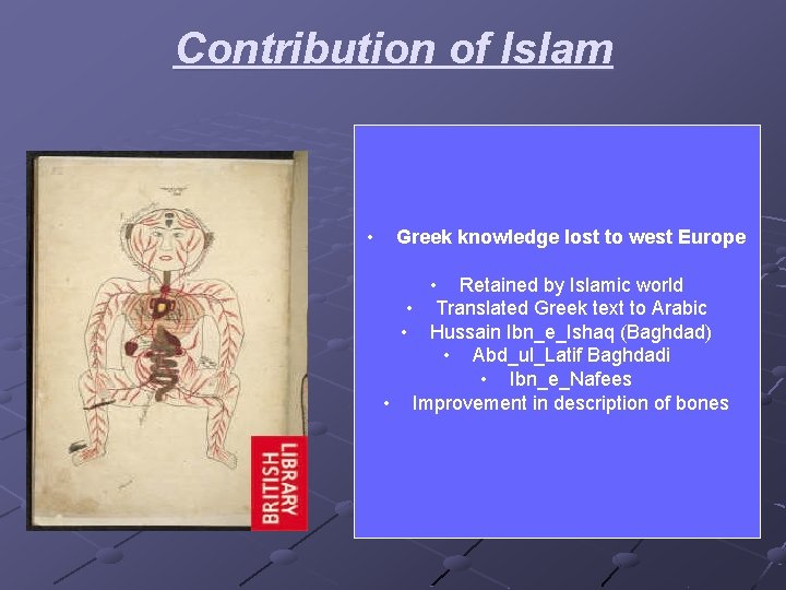 Contribution of Islam • Greek knowledge lost to west Europe • Retained by Islamic