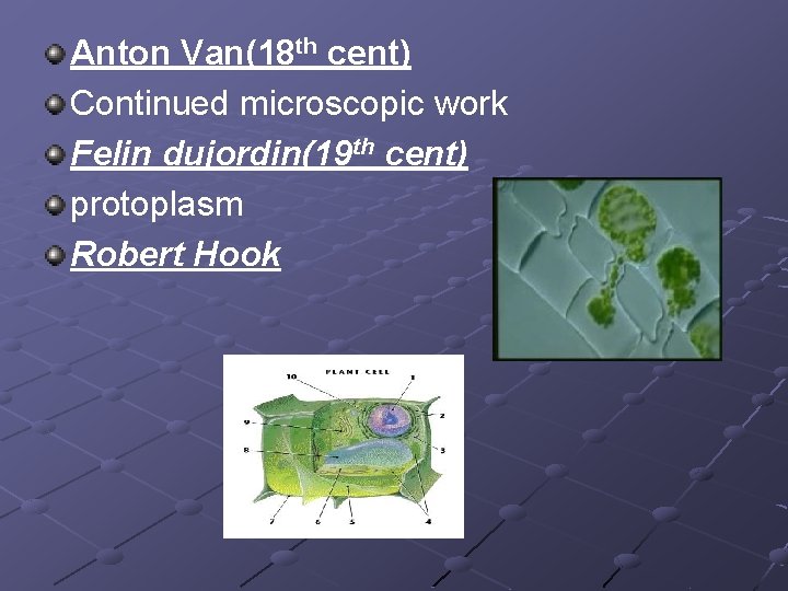 Anton Van(18 th cent) Continued microscopic work Felin dujordin(19 th cent) protoplasm Robert Hook