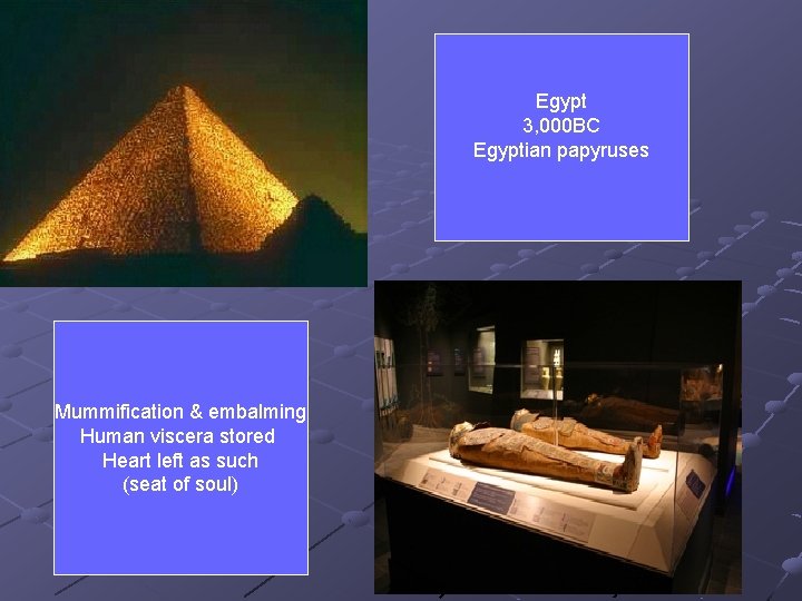 Egypt 3, 000 BC Egyptian papyruses Mummification & embalming Human viscera stored Heart left