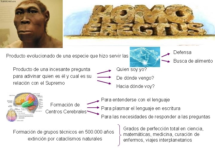 Producto evolucionado de una especie que hizo servir las manos Producto de una incesante