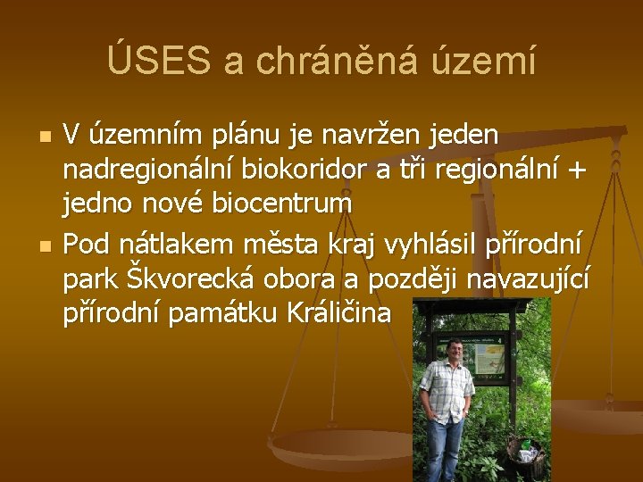 ÚSES a chráněná území n n V územním plánu je navržen jeden nadregionální biokoridor