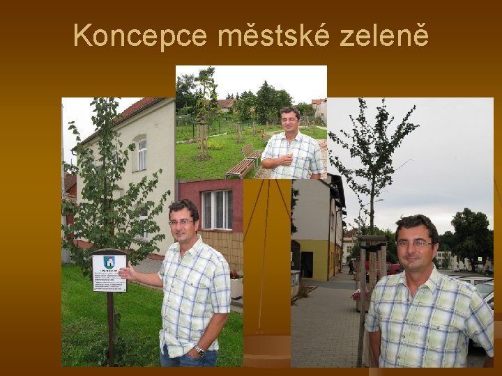 Koncepce městské zeleně 