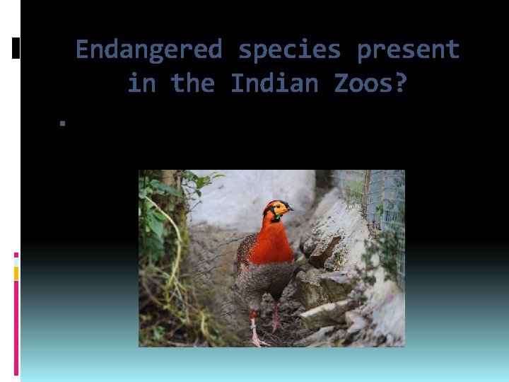 Endangered species present in the Indian Zoos? There are 150 number of Endangered species
