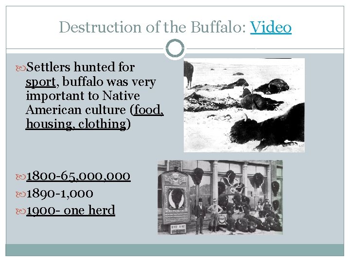 Destruction of the Buffalo: Video Settlers hunted for sport, buffalo was very important to