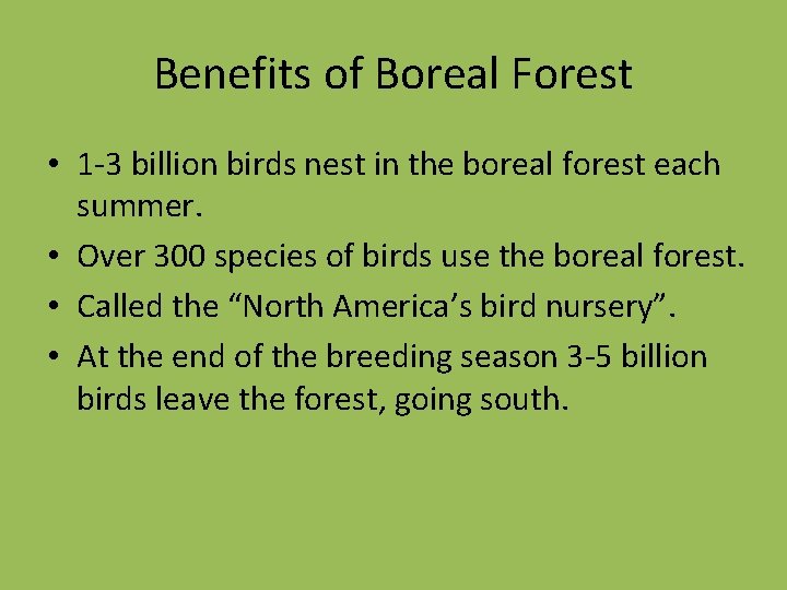 Benefits of Boreal Forest • 1 -3 billion birds nest in the boreal forest