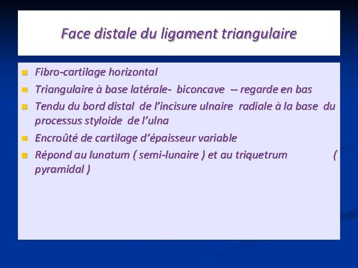 Face distale du ligament triangulaire n n n Fibro-cartilage horizontal Triangulaire à base latérale-