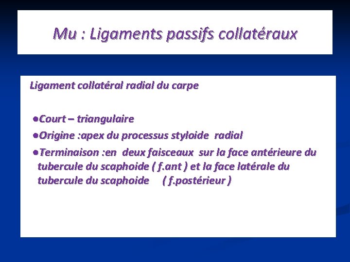 Mu : Ligaments passifs collatéraux Ligament collatéral radial du carpe ●Court – triangulaire ●Origine