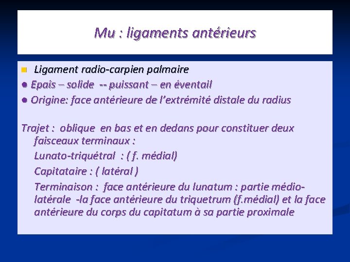 Mu : ligaments antérieurs Ligament radio-carpien palmaire ● Epais – solide -- puissant –