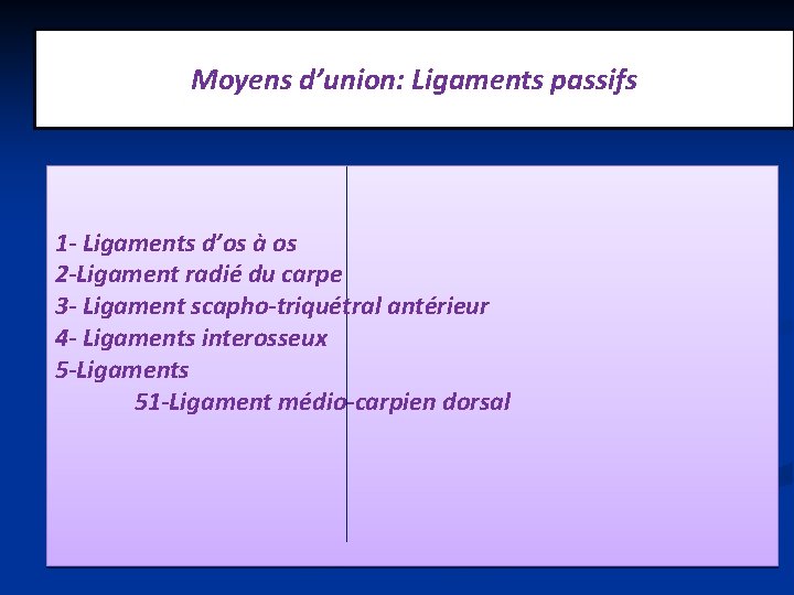 Moyens d’union: Ligaments passifs 1 - Ligaments d’os à os 2 -Ligament radié du