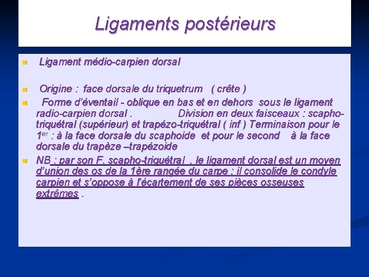 Ligaments postérieurs n n Ligament médio-carpien dorsal Origine : face dorsale du triquetrum (