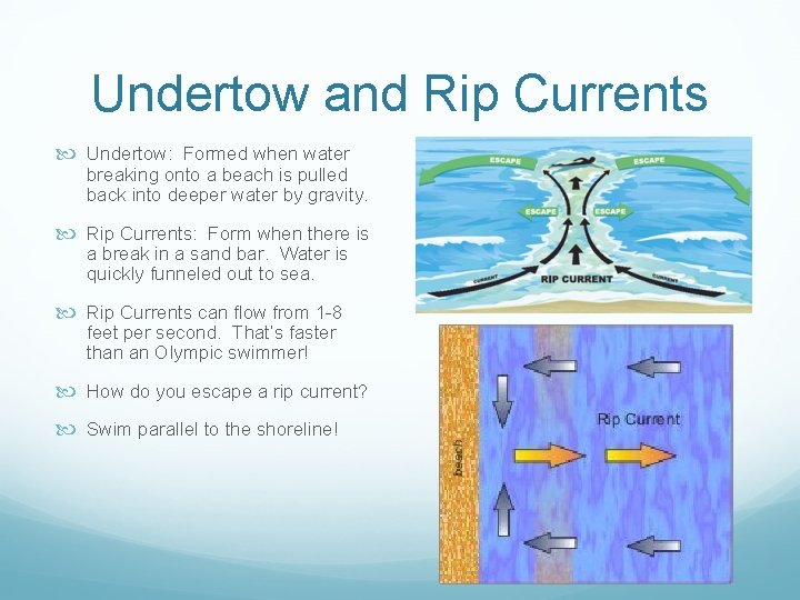 Undertow and Rip Currents Undertow: Formed when water breaking onto a beach is pulled