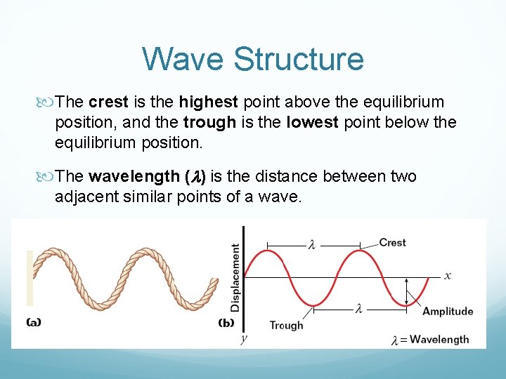Wave Structure The crest is the highest point above the equilibrium position, and the