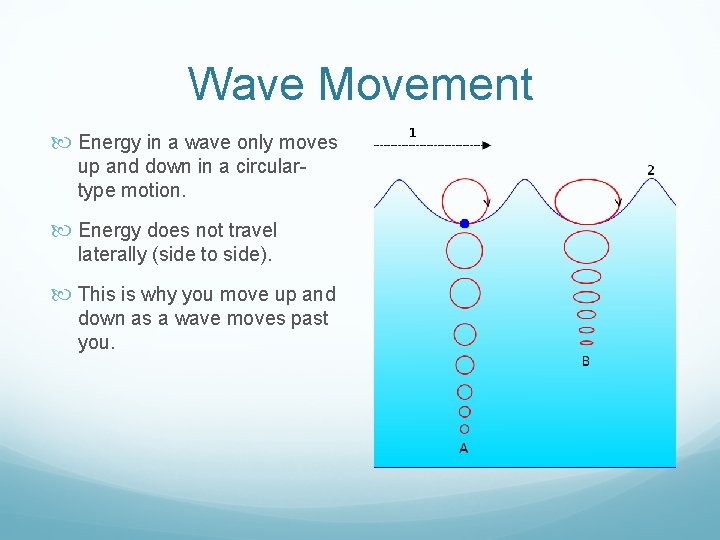Wave Movement Energy in a wave only moves up and down in a circulartype