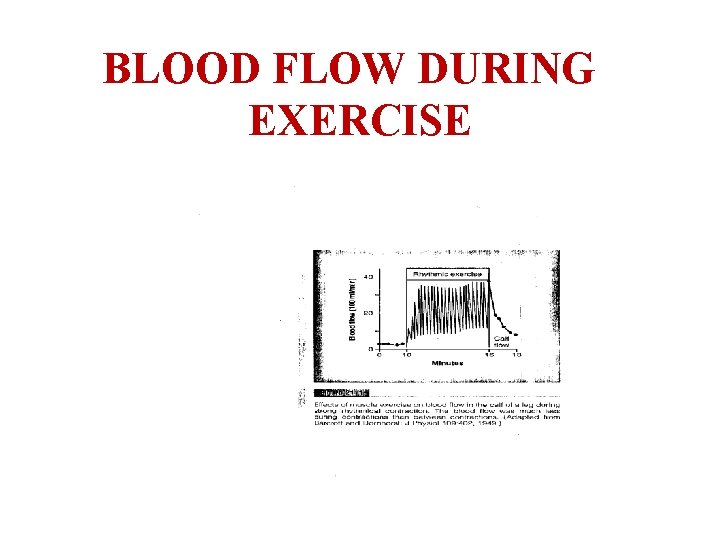 BLOOD FLOW DURING EXERCISE 