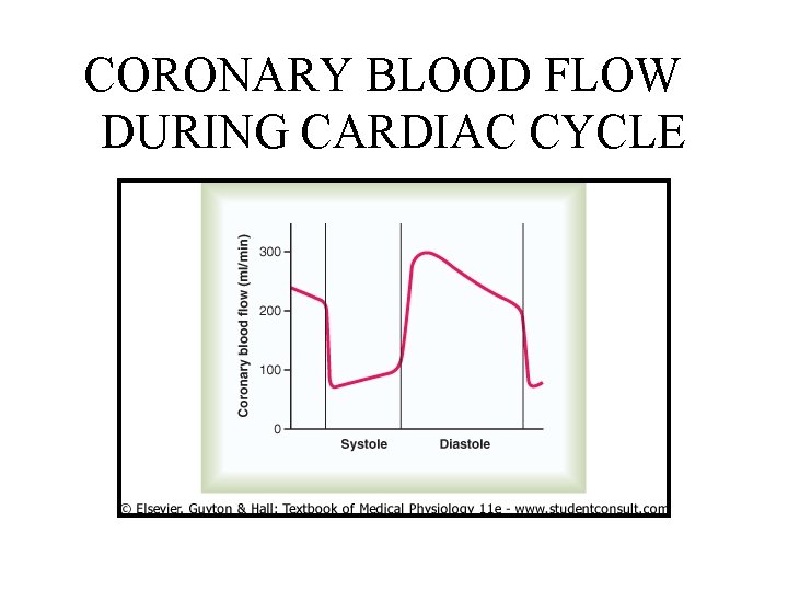 CORONARY BLOOD FLOW DURING CARDIAC CYCLE 