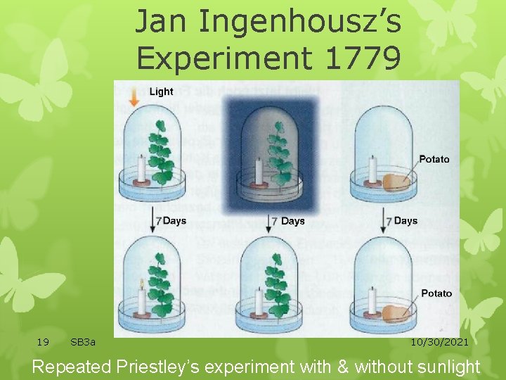 Jan Ingenhousz’s Experiment 1779 19 SB 3 a 10/30/2021 Repeated Priestley’s experiment with &
