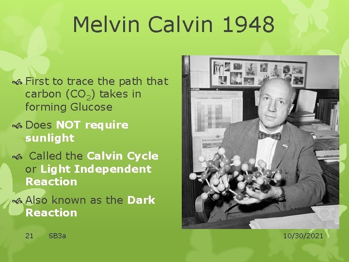 Melvin Calvin 1948 First to trace the path that carbon (CO 2) takes in