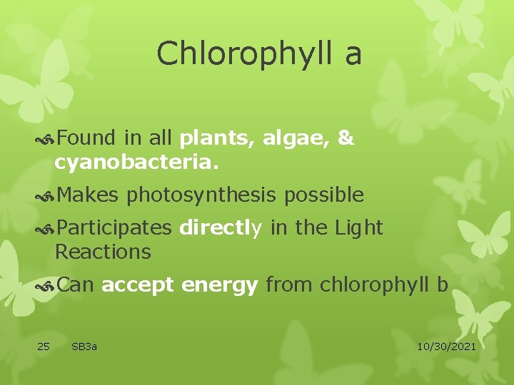 Chlorophyll a Found in all plants, algae, & cyanobacteria. Makes photosynthesis possible Participates directly